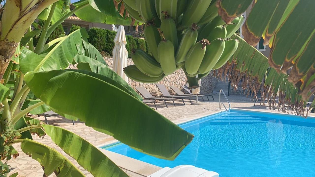 Katarina Apartments Kefalonia - Sea View อาร์กอสโตลี ภายนอก รูปภาพ